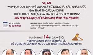 Bị cáo Trần Trọng Mừng bị tuyên phạt 9 năm 6 tháng tù