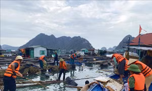 Huy động các lực lượng ra quân làm sạch vịnh Bái Tử Long 