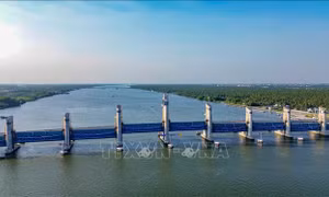 Thủ tướng chỉ thị tăng cường phòng, chống nắng nóng, hạn hán, xâm nhập mặn