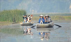 Ninh Bình phát triển du lịch nông nghiệp, nông thôn thu hút du khách
