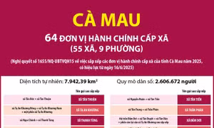 Thông tin chi tiết sắp xếp các đơn vị hành chính cấp xã của tỉnh Cà Mau