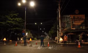 Cà Mau ứng dụng công nghệ thông tin trong cấp giấy đi đường
