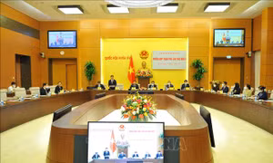 Công tác đối ngoại của Quốc hội ngày càng chuyên nghiệp, hiện đại