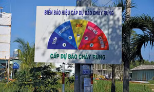 Cà Mau: Thực hiện '4 tại chỗ' trong phòng cháy, chữa cháy rừng mùa khô 
