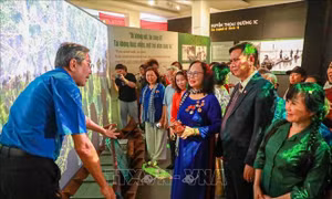 Khai mạc trưng bày 'Thời thanh xuân từ Đường Trường Sơn đến Đường 1C huyền thoại'