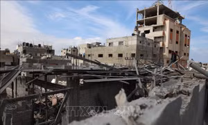 Tổng thống Ai Cập thảo luận với Ngoại trưởng Mỹ về tình hình Gaza