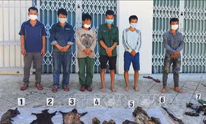 Bắt 6 đối tượng săn bắn thú trái phép tại vùng đệm Vườn quốc gia Bạch Mã