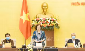 Nghị quyết của Ủy ban Thường vụ Quốc hội về công tác nhân sự
