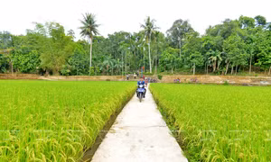 Làng cổ Lộc Yên xây dựng nông thôn mới kiểu mẫu