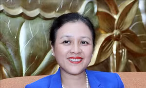 Đối ngoại nhân dân ứng phó linh hoạt, thích nghi với tình hình mới