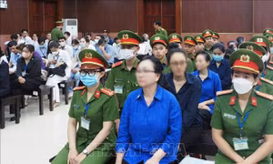 Kiện toàn Ban Chỉ đạo liên ngành tổ chức thu hồi tài sản bị chiếm đoạt, thất thoát trong vụ án Vạn Thịnh Phát