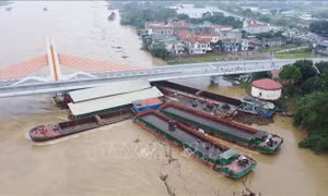 Rốt ráo xử lý các phương tiện trôi dạt trên sông do ảnh hưởng mưa lũ