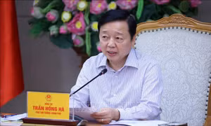 Xây dựng lộ trình áp dụng quy chuẩn khí thải ô tô thống nhất và đồng bộ