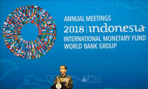 Hội nghị IMF-WB: Khai mạc phiên họp toàn thể 