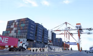 Ra mắt Trung tâm Vận tải container