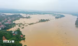 Bão số 3: Kiểm tra các vị trí xung yếu trên hệ thống đê sông, hồ đập