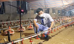 Nghị lực vượt lên số phận