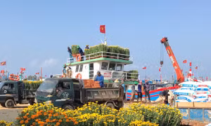 Đồng vốn nghĩa tình trên các vùng quê núi Ấn sông Trà