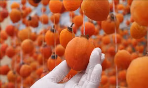 Hồi sinh nghề sấy gió quả hồng ở vùng ven Đà Lạt
