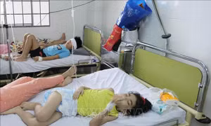 Học sinh trường iSchool Nha Trang ngộ độc do nhiễm khuẩn Salmonella