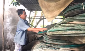 Chuyển hướng trong mùa lũ - Bài 2: Linh động sinh kế