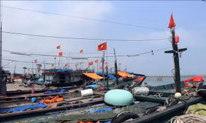 Kiến nghị hỗ trợ ngư dân bị ảnh hưởng bởi giá xăng, dầu tăng cao