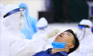 Thành ủy Hà Nội chỉ đạo tăng cường kiểm tra chống dịch COVID-19