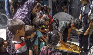 Lây lan bệnh ngoài da nguy hiểm ở trẻ em Gaza 