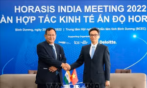 Phó Thủ tướng Vũ Đức Đam tiếp Quốc vụ khanh Bộ Ngoại giao Ấn Độ