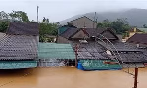 Nhiều khu dân cư ở Nghệ An ngập chìm trong nước