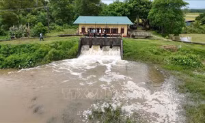 Đề nghị 21 tỉnh, thành đảm bảo an toàn chống lũ của đê khi vận hành trạm bơm tiêu