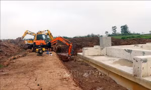 Hỗ trợ thi công đường dây 500kV mạch 3 qua địa phận tỉnh Thái Bình