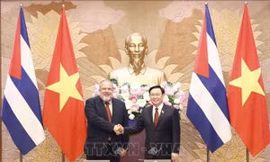 Chủ tịch Quốc hội Vương Đình Huệ hội kiến Thủ tướng nước Cộng hòa Cuba Manuel Marrero Cruz