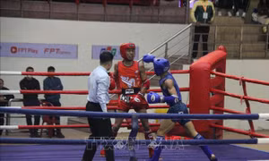 Trên 200 vận động viên tranh tài môn Muay 