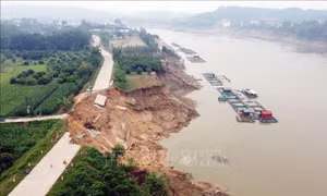 Phú Thọ: Cần xử lý tình trạng sạt lở nghiêm trọng bờ sông ở Đoan Hùng