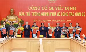 Thủ tướng trao Quyết định tiếp nhận, điều động, bổ nhiệm 8 lãnh đạo các bộ, cơ quan