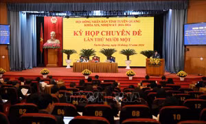 Điều chỉnh chủ trương đầu tư Dự án cao tốc Tuyên Quang - Hà Giang (giai đoạn 1), đoạn qua tỉnh Tuyên Quang