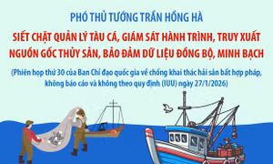 Phiên họp thứ 30 của Ban Chỉ đạo Quốc gia về chống khai thác hải sản bất hợp pháp