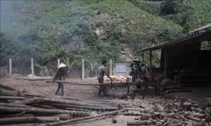 Yên Bái nỗ lực thực hiện giảm nghèo bền vững