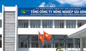 Đề nghị truy tố ông Trần Vĩnh Tuyến, nguyên Phó Chủ tịch UBND Thành phố Hồ Chí Minh
