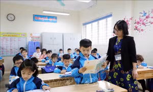 Gỡ khó cho giáo viên trước khi triển khai chương trình mới lớp 2, lớp 6