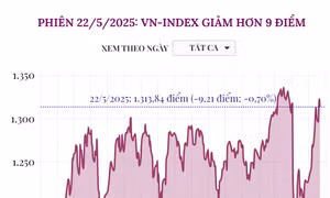 Phiên 22/5/2025: VN-Index giảm hơn 9 điểm