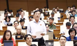 Đẩy mạnh phân cấp, phân quyền trong tổ chức và hoạt động thanh tra