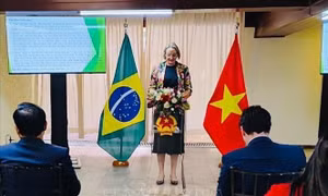 Việt Nam, Brazil tăng cường hợp tác trong lĩnh vực nông nghiệp thông minh