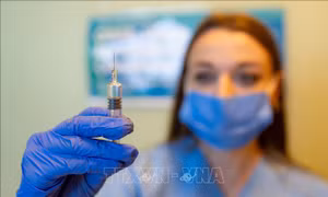 Bang Sao Paulo (Brazil) công nhận hiệu quả của vaccine CoronaVac 