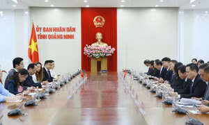 Quảng Ninh thúc đẩy hợp tác toàn diện với Khu tự trị dân tộc Choang Quảng Tây, Trung Quốc