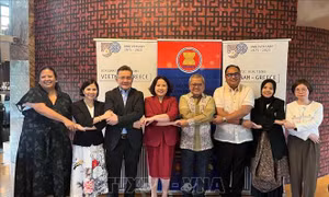 Đóng góp của Việt Nam trong tăng cường quan hệ của ASEAN với Hy Lạp