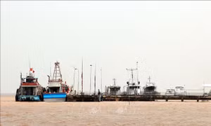 Sóc Trăng khắc phục tồn tại, sớm gỡ cảnh báo 'Thẻ vàng' IUU