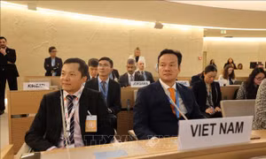 Việt Nam tham dự phiên cấp cao của Hội đồng Nhân quyền LHQ