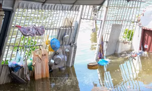 Cần Thơ: Sạt lở bờ sông Bình Thủy làm hư hại 10 căn nhà